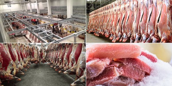 Kırmızı Et Soğuk Hava Deposu