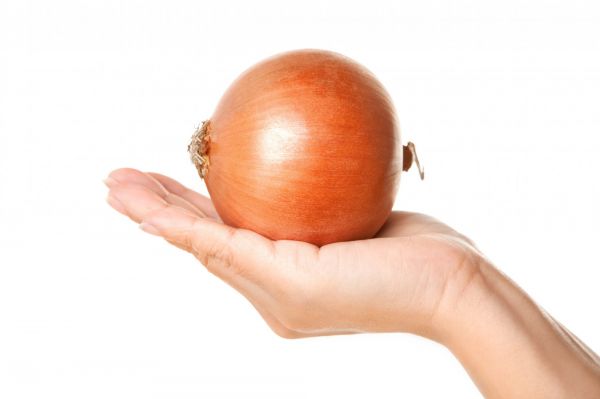 Soğan Soğuk Hava Deposu